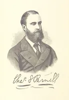 An illustration from The Story of Ireland; a narrative of Irish history, from the earliest ages to the insurrection of 1867 ... Continued to the present time by J. Luby, etc (1885)