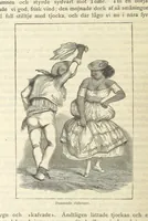 Picture 19 of 39 from Sjömanslif. Minnen och afventyr från skilda världsdelar ... Med 39 illustrationer (1892), leaf 142