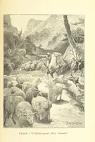 Picture 28 of 39 from Sjömanslif. Minnen och afventyr från skilda världsdelar ... Med 39 illustrationer (1892), leaf 197