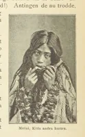 Picture 34 of 39 from Sjömanslif. Minnen och afventyr från skilda världsdelar ... Med 39 illustrationer (1892), leaf 238