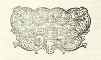 An illustration from The Works of Jonathan Swift, D.D., D.S.P.D., in eight volumes. Containing I. His Miscellanies in Prose. II. His Poetical Writings. III. The Travels of Capt. Lemuel Gulliver. IV. Papers relating to Ireland, and the Drapier's Letters. V. The Conduct of the Allies, and the Examiner. VI. The Publick Spirit of the Whiggs, &c., with Polite Conversation. VII. Letters to and from Dr. Swift. VIII. Directions to Servants, Sermons, Poems, &c (1746)