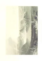 An illustration from Zwitzerland en de Alpen van Savoye, in afbeeldingen en tafereelen geschetst. [The text by N. G. van Kampen, the engravings by W. H. Bartlett (1836)