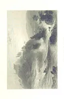 Picture 65 of 109 from Zwitzerland en de Alpen van Savoye, in afbeeldingen en tafereelen geschetst. [The text by N. G. van Kampen, the engravings by W. H. Bartlett (1836), leaf 357