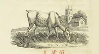 An illustration from The Tour of Doctor Syntax: in search of the picturesque ... Fifth edition, with new plates. [By William Combe (1813)