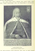 An illustration from A magyar nemzet tortenete. Szerkeszti Szilágyi S. [With maps and illustrations (1895)