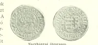 An illustration from A magyar nemzet tortenete. Szerkeszti Szilágyi S. [With maps and illustrations (1895)