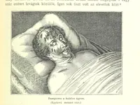 An illustration from A magyar nemzet tortenete. Szerkeszti Szilágyi S. [With maps and illustrations (1895)