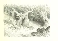 An illustration from Voyage aux Pyrénées ... Troisième édition illustrée par Gustave Doré (1860)