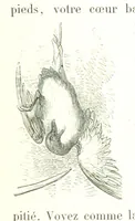 An illustration from Voyage aux Pyrénées ... Troisième édition illustrée par Gustave Doré (1860)