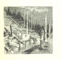 An illustration from Voyage aux Pyrénées ... Troisième édition illustrée par Gustave Doré (1860)