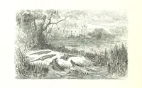 An illustration from Voyage aux Pyrénées ... Troisième édition illustrée par Gustave Doré (1860)