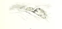 An illustration from Voyage aux Pyrénées ... Troisième édition illustrée par Gustave Doré (1860)