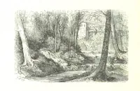 An illustration from Voyage aux Pyrénées ... Troisième édition illustrée par Gustave Doré (1860)