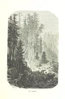 An illustration from Voyage aux Pyrénées ... Troisième édition illustrée par Gustave Doré (1860)