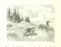 An illustration from Voyage aux Pyrénées ... Troisième édition illustrée par Gustave Doré (1860)