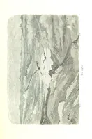 An illustration from Voyage aux Pyrénées ... Troisième édition illustrée par Gustave Doré (1860)