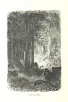 An illustration from Voyage aux Pyrénées ... Troisième édition illustrée par Gustave Doré (1860)