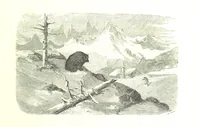 An illustration from Voyage aux Pyrénées ... Troisième édition illustrée par Gustave Doré (1860)