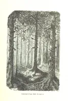 An illustration from Voyage aux Pyrénées ... Troisième édition illustrée par Gustave Doré (1860)