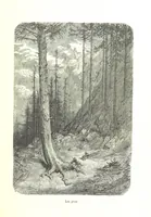 An illustration from Voyage aux Pyrénées ... Troisième édition illustrée par Gustave Doré (1860)