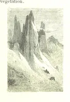 An illustration from Voyage aux Pyrénées ... Troisième édition illustrée par Gustave Doré (1860)