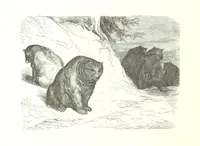 An illustration from Voyage aux Pyrénées ... Troisième édition illustrée par Gustave Doré (1860)