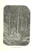 An illustration from Voyage aux Pyrénées ... Troisième édition illustrée par Gustave Doré (1860)