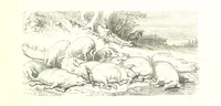 An illustration from Voyage aux Pyrénées ... Troisième édition illustrée par Gustave Doré (1860)