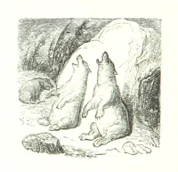 An illustration from Voyage aux Pyrénées ... Troisième édition illustrée par Gustave Doré (1860)
