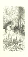 An illustration from Voyage aux Pyrénées ... Troisième édition illustrée par Gustave Doré (1860)