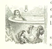 An illustration from Voyage aux Pyrénées ... Troisième édition illustrée par Gustave Doré (1860)