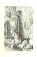 An illustration from Voyage aux Pyrénées ... Troisième édition illustrée par Gustave Doré (1860)