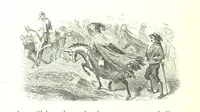 An illustration from Voyage aux Pyrénées ... Troisième édition illustrée par Gustave Doré (1860)