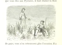 An illustration from Voyage aux Pyrénées ... Troisième édition illustrée par Gustave Doré (1860)