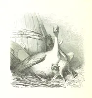 An illustration from Voyage aux Pyrénées ... Troisième édition illustrée par Gustave Doré (1860)