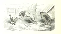 An illustration from Voyage aux Pyrénées ... Troisième édition illustrée par Gustave Doré (1860)