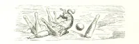 An illustration from Voyage aux Pyrénées ... Troisième édition illustrée par Gustave Doré (1860)