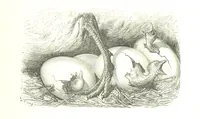 An illustration from Voyage aux Pyrénées ... Troisième édition illustrée par Gustave Doré (1860)