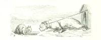 An illustration from Voyage aux Pyrénées ... Troisième édition illustrée par Gustave Doré (1860)