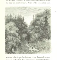 An illustration from Voyage aux Pyrénées ... Troisième édition illustrée par Gustave Doré (1860)
