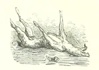 An illustration from Voyage aux Pyrénées ... Troisième édition illustrée par Gustave Doré (1860)