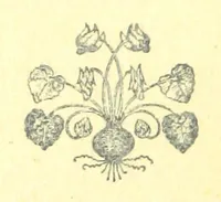 An illustration from Curiosità Veneziane, ovvero origini delle denominazioni stradali di Venezia ... Quarta edizione (1897)