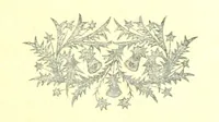 Picture 21 of 31 from Curiosità Veneziane, ovvero origini delle denominazioni stradali di Venezia ... Quarta edizione (1897), leaf 609