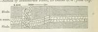 An illustration from The Yorkshire Lias. [With illustrations and a map (1876)