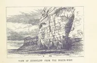 An illustration from The Yorkshire Lias. [With illustrations and a map (1876)