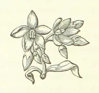 An illustration from Cyrilla, a tale (1872)