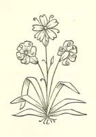 An illustration from Cyrilla, a tale (1872)