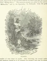 An illustration from History of Taylor County, Iowa ... Illustrated (1881)
