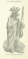 An illustration from History of Taylor County, Iowa ... Illustrated (1881)