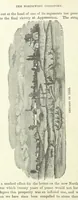 An illustration from History of Taylor County, Iowa ... Illustrated (1881)